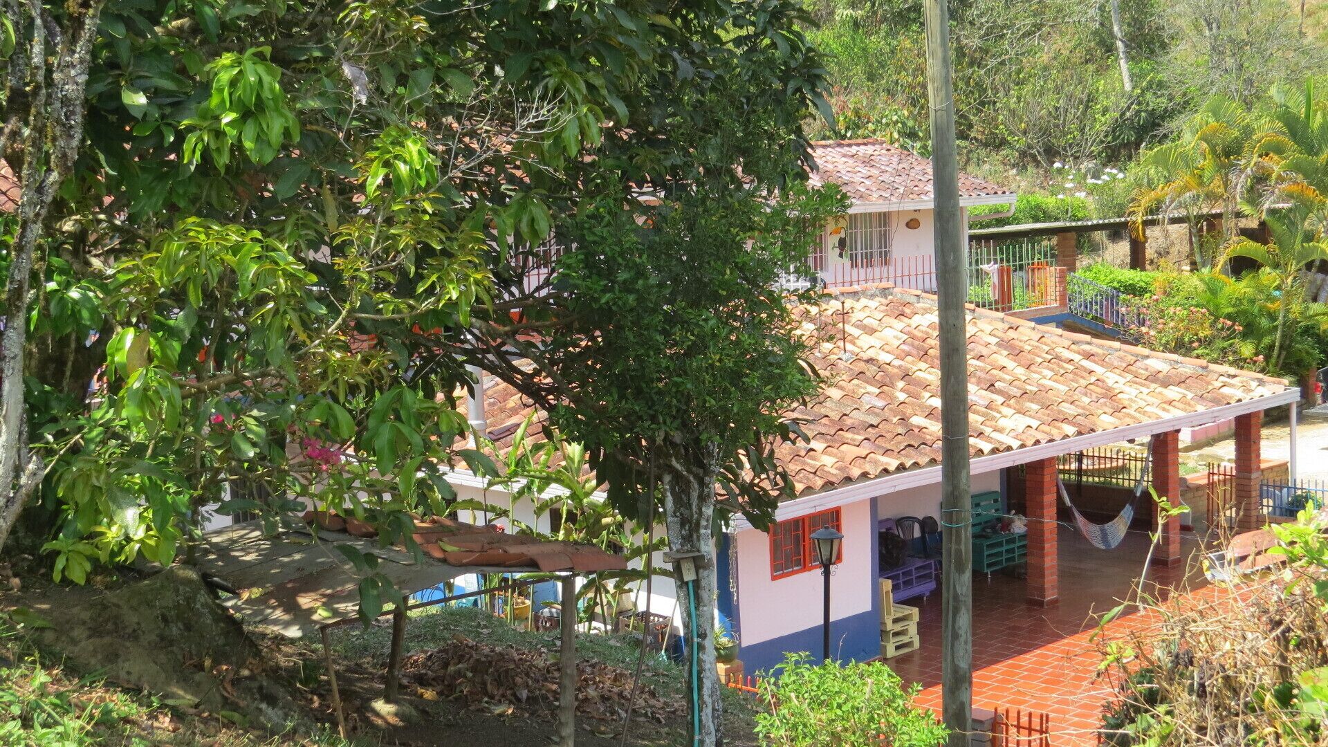 Una casa con techo de tejas, rodeada de abundante vegetación y un gran árbol.
