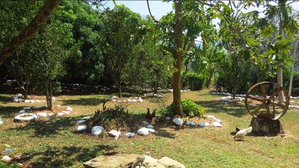 Un jardin avec des arbres, une roue décorative et des pierres disposées çà et là.