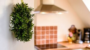 Cozinha com painel decorado em xadrez, planta pendente e fogão.
