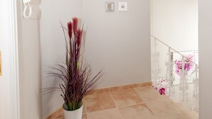 Un pasillo en esquina con una planta en maceta, un teléfono y cuadros en la pared.