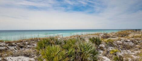 Playa en los alrededores