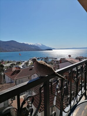 Apartment, 1 Bedroom, Balcony, Lake View | Terrace/patio - Villa Old Town (Ohrid)