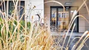 A modern building entrance with a glass door, surrounded by tall grasses and plants. - Modern Apartment | Balcony, Parking, Workspace (Swinoujscie)