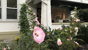 A white building with a number '701' on the facade, a window with blinds, and a garden with pink flowers. - Sunny Blue Bungalow near Nashville in Historic Downtown Murfreesboro (Murfreesboro)
