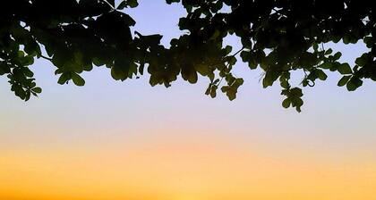 Apartment - Paquetá season in paradise. In front of the beach. Tranquility!