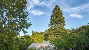 A rustic cabin surrounded by lush greenery and a tall pine tree. - Historic Foxglove Open Gardens minutes from beach and walking trails (Tilba Tilba)