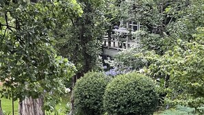 A lush garden with a wooden gazebo, surrounded by dense foliage and a well-maintained lawn. - Historic Foxglove Open Gardens minutes from beach and walking trails (Tilba Tilba)