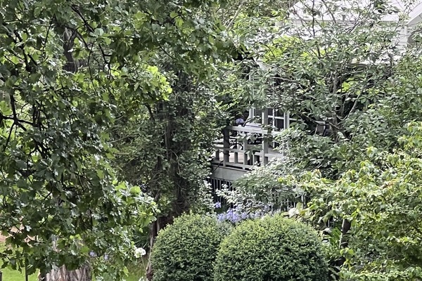 Àrea exterior de l'allotjament