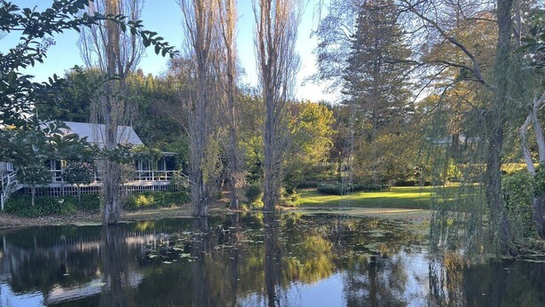 A serene pond surrounded by trees and a building with a deck. - Historic Foxglove Open Gardens minutes from beach and walking trails (Tilba Tilba)