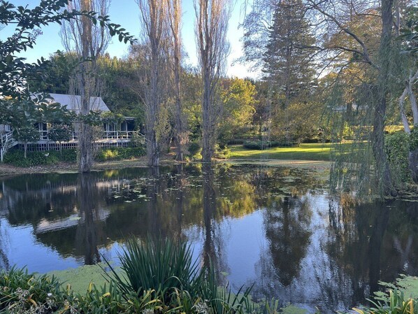 Property grounds - Historic Foxglove Open Gardens minutes from beach and walking trails (Tilba Tilba)