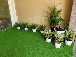Garden view