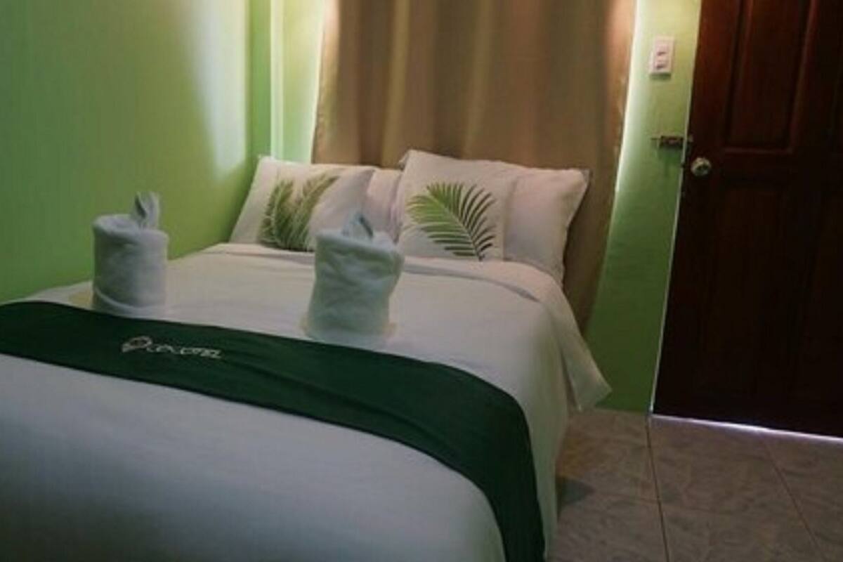 Een hotelkamer met een bed, groene wanden en een deur.
