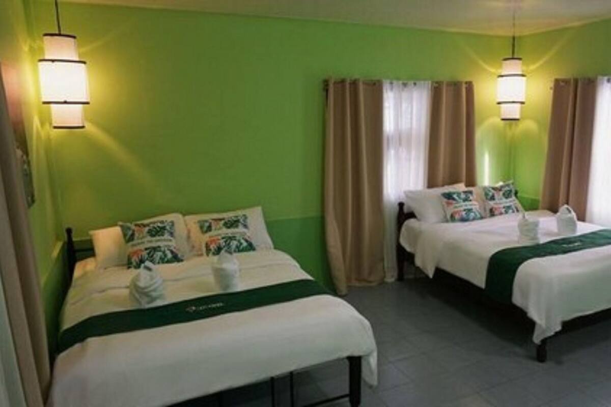 Een hotelkamer met twee bedden, groene muren en beige gordijnen.