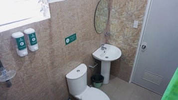 Dört Kişilik Oda | Banyo | Duş, ücretsiz banyo/kozmetik ürünleri, havlu, sabun