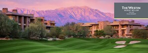Golf - COACHELLA WEEKEND AT LUXURY RESORT - WESTIN DESERT WILLOW VILLAS (Palm Desert)