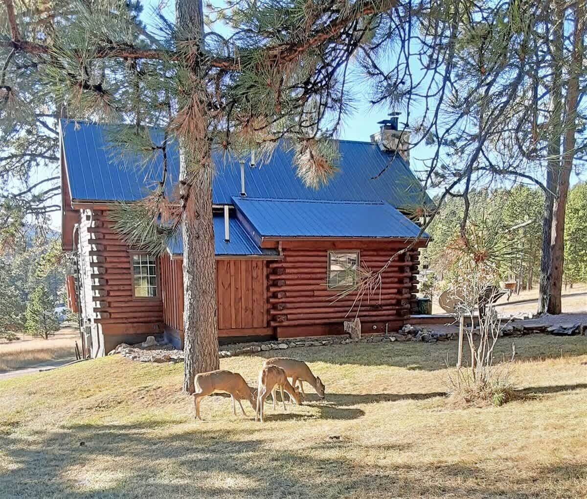 Udendørsområde