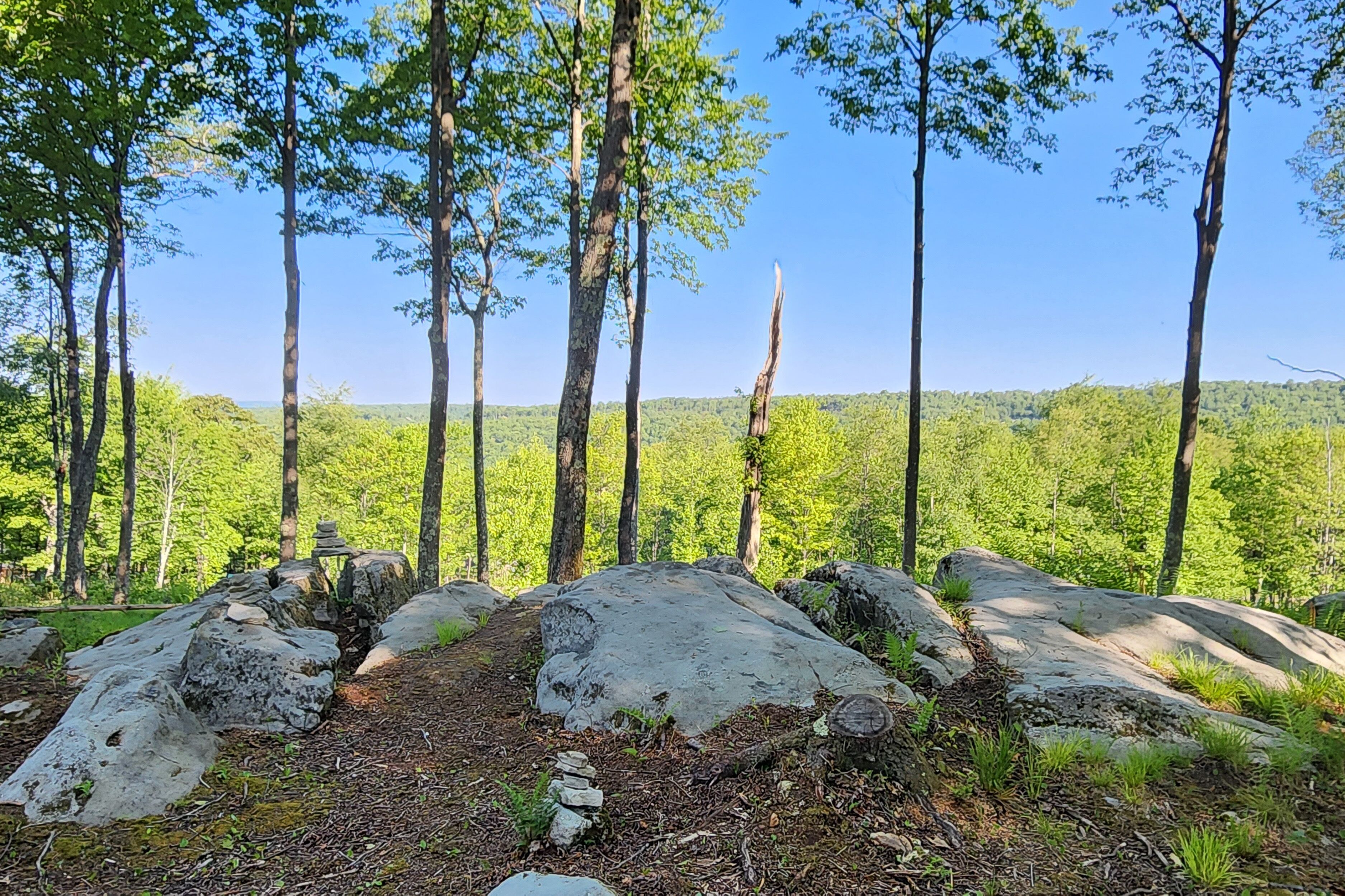 A forested area with large rocks and trees.