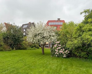 A residential area with a well-maintained lawn, flowering trees, and houses with red roofs.