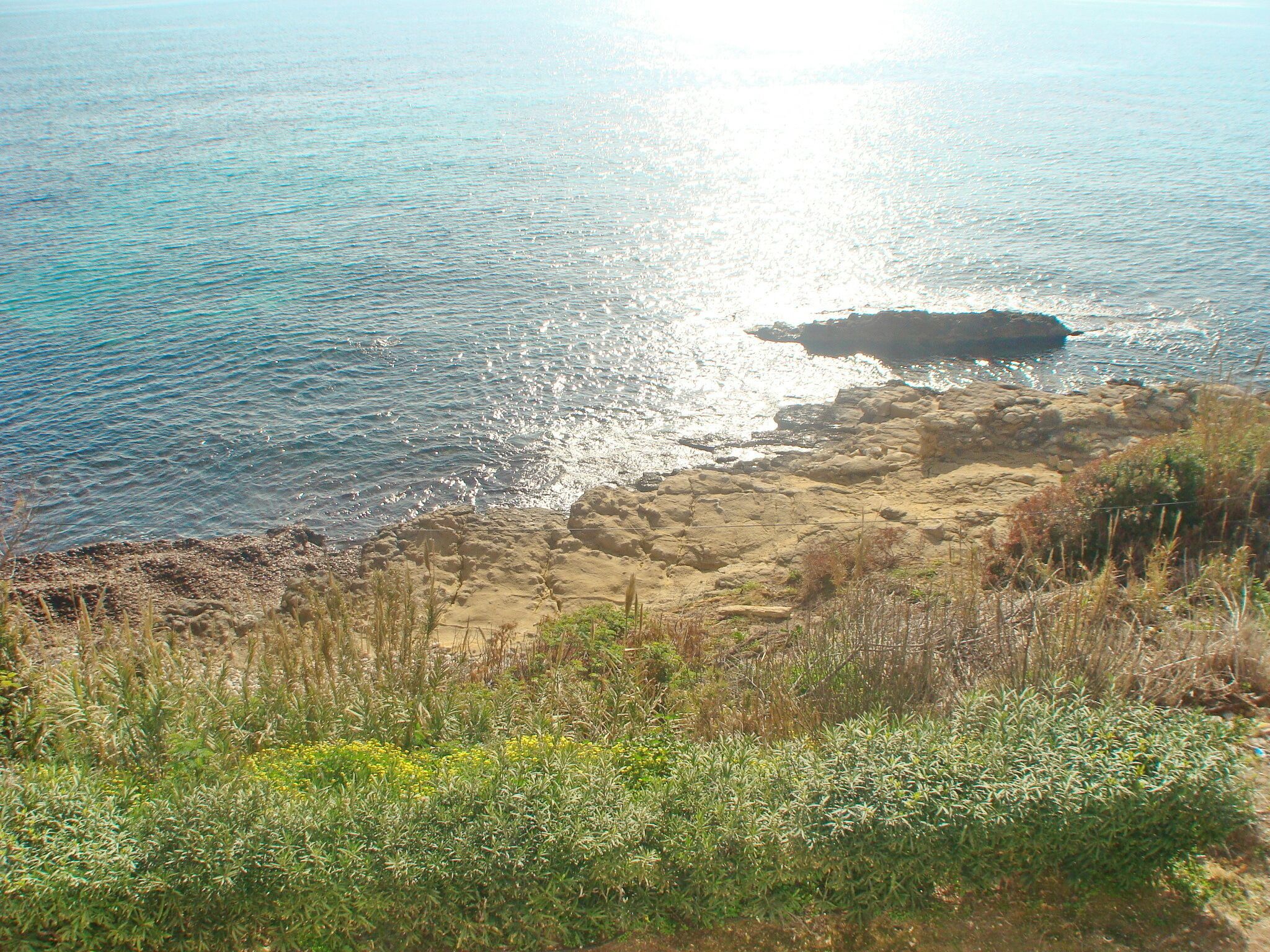 Paesaggio costiero con terreno roccioso e vegetazione rada.
