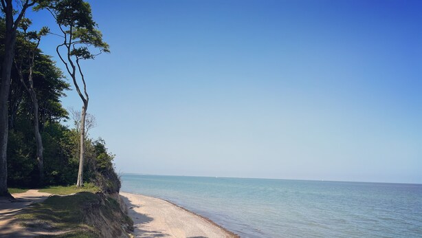 A beach with a dirt path leading to the water, surrounded by trees. - Beautiful bungalow near the Baltic Sea, family-friendly and quiet (Nienhagen)