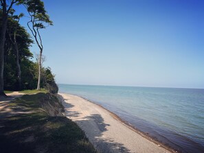 En strand med en sti af jord der fører ned til vandet, omgivet af træer.
