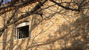 Ein Steinhaus mit Fenster und Tür, umgeben von Ästen.