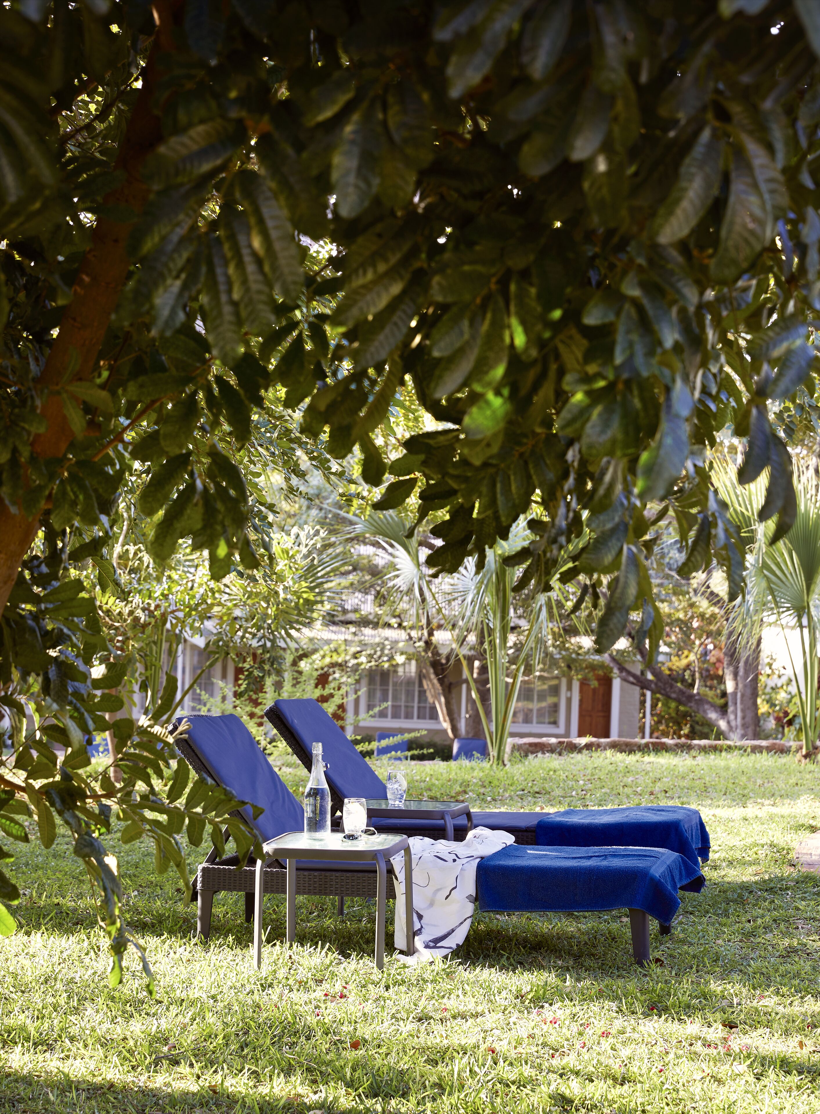 A sunlit outdoor seating area with lounge chairs and a table, surrounded by lush greenery.