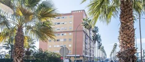 A street view with palm trees, a multi-story building, and parked cars.