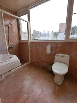 Shower, free toiletries, hair dryer, slippers