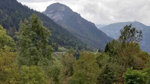 A mountainous landscape with dense forests and a small green structure, possibly a utility shed, in the foreground. - Mountain style apartment (Zortea)