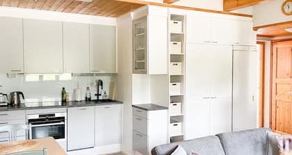 Levin rinnelinna a8 by Interhome