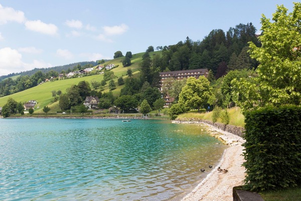 Una piscina techada, sillones reclinables de piscina