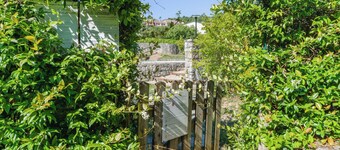 Carlotta by Interhome