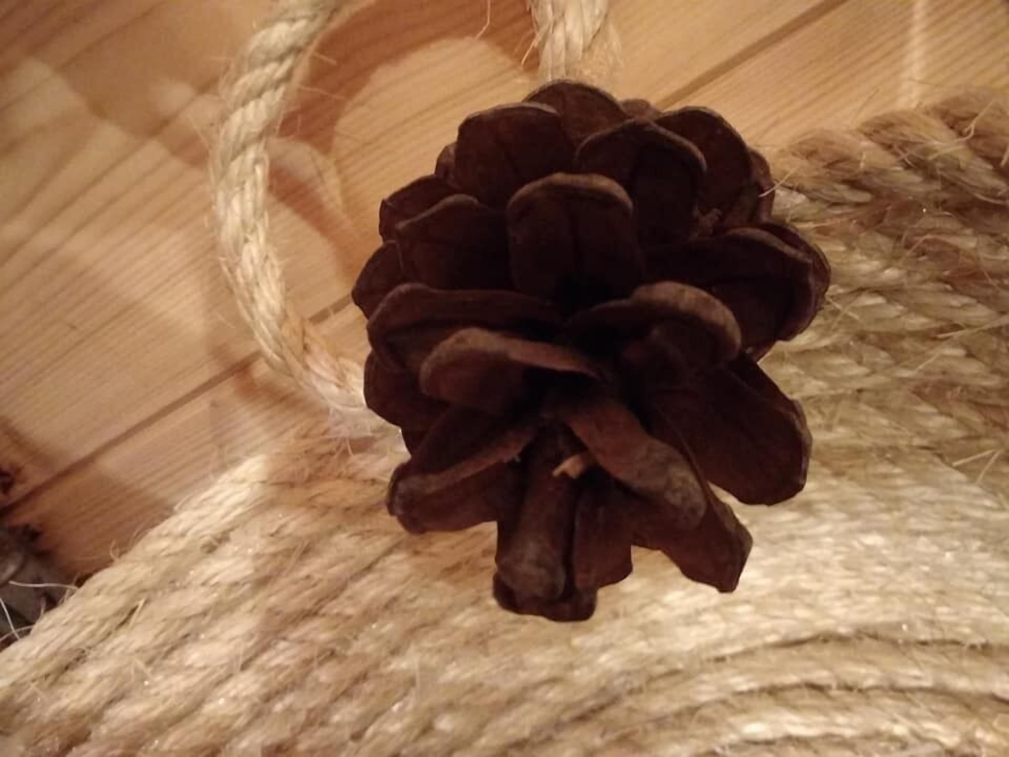 A pine cone on a rope.