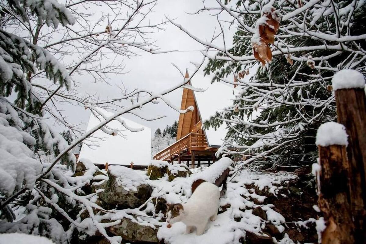 Schneebedeckte Landschaft mit einem Holzbau im Hintergrund.