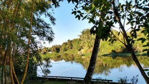 A serene outdoor area with a pond, surrounded by lush greenery and trees.