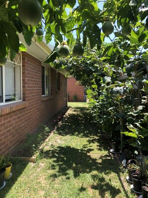 A brick building with a small garden area, a pathway, and potted plants.