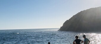 Charlie sweet home @ Mornington Peninsula 