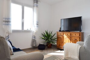 TV
