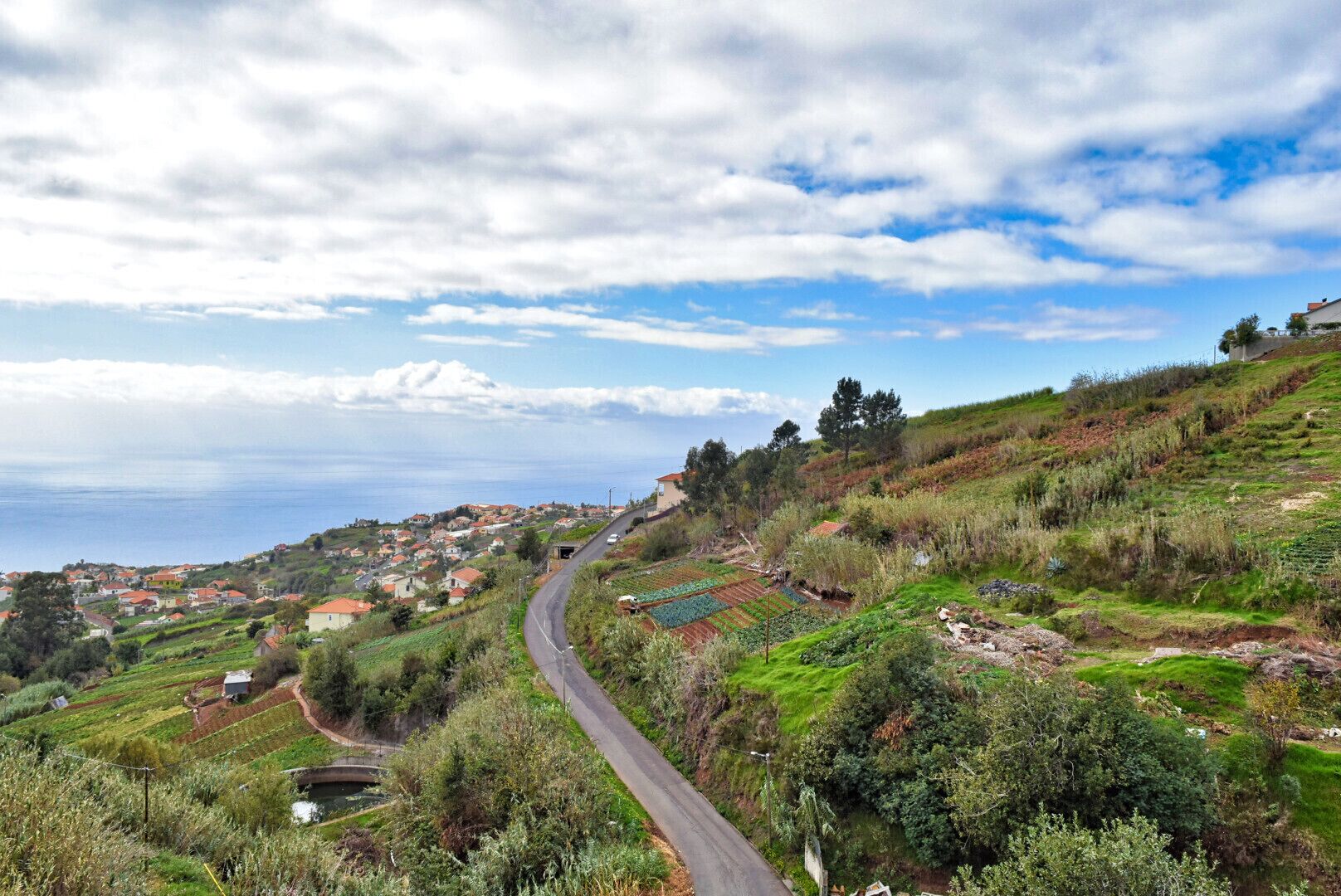 A coastal village with terraced fields, a winding road, and houses with red roofs.