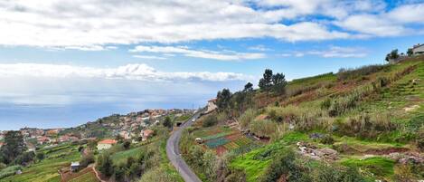 A coastal village with terraced fields, a winding road, and houses with red roofs.