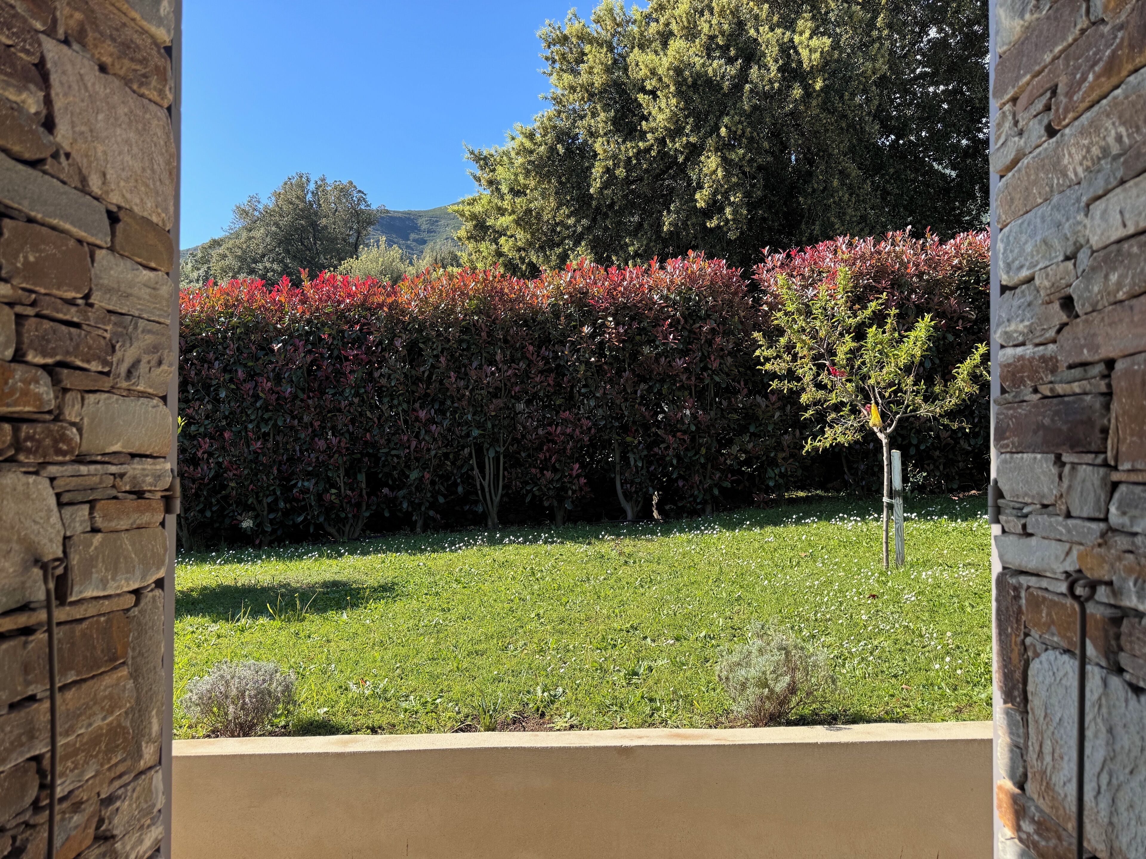 Muro de piedra con vistas a un jardín bien cuidado, con diversos arbustos y un árbol pequeño.