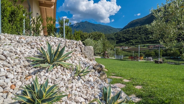 A garden with agave plants, a stone wall, and a view of a mountain. - La Gazza Ladra Apartments (Drena)