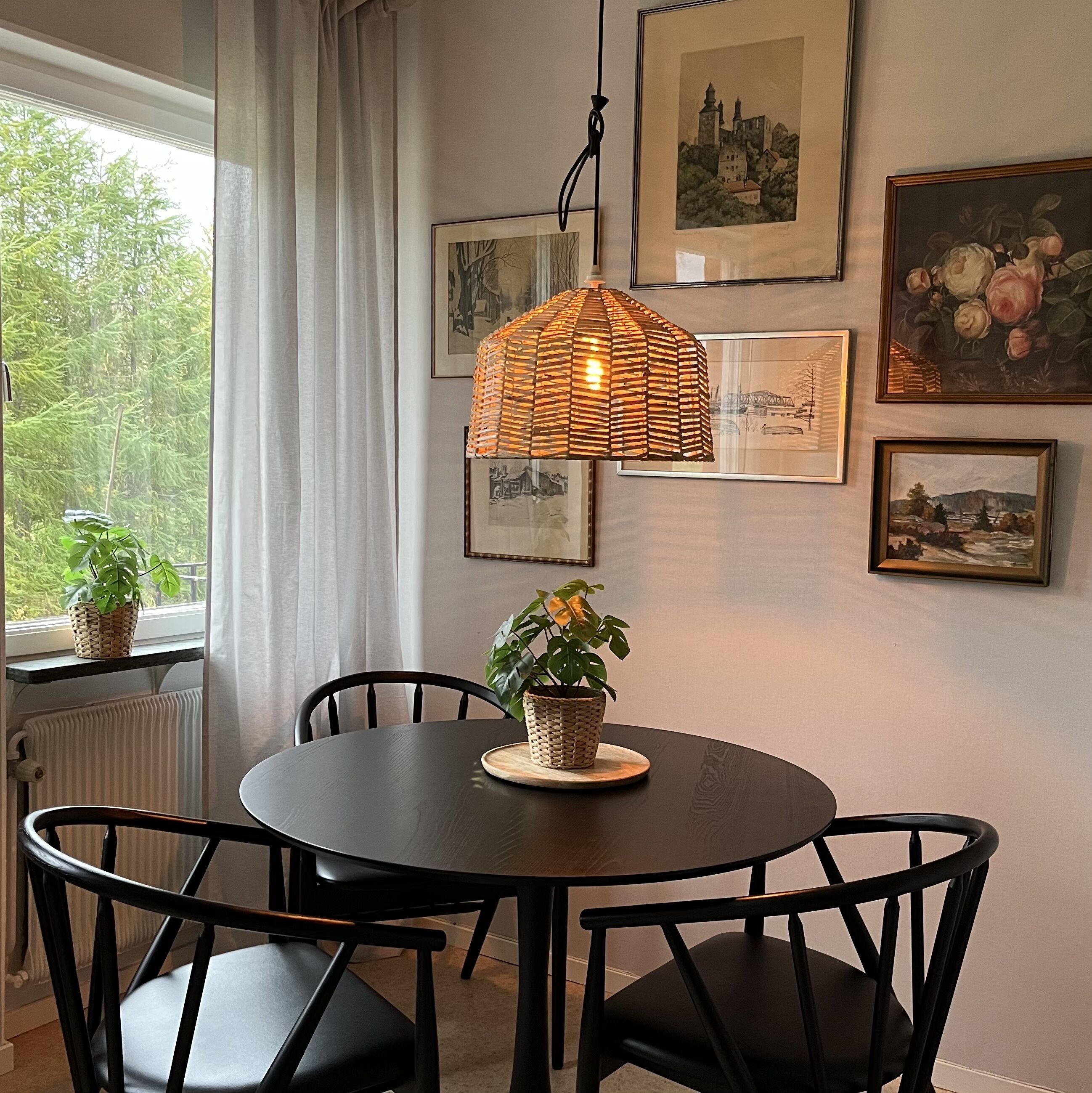 basic apartment, kitchen | private kitchen | fridge, microwave, paper towels