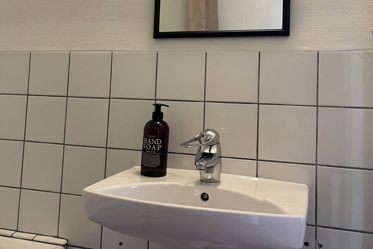 basic cabin, multiple beds, non smoking, kitchen | bathroom | shower, hair dryer, towels, soap