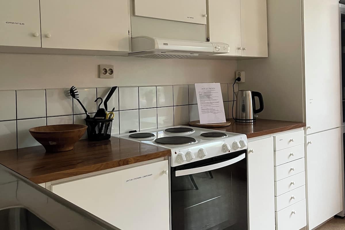 basic apartment, kitchen | private kitchen | fridge, microwave, paper towels