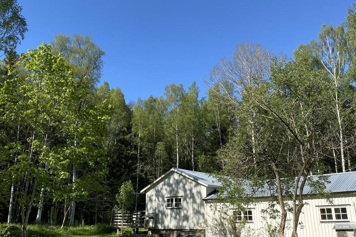 Eine rustikale Holzhütte mit geneigtem Dach, umgeben von einem grasbewachsenen Hof und dichten Bäumen.