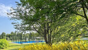 Un parque con cancha de tenis, bancos y un árbol con flores amarillas.