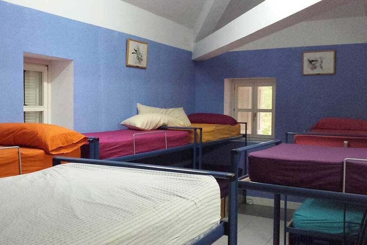 A dormitory room with bunk beds, blue walls, and framed pictures on the walls.