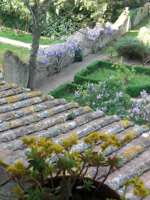 Ein Garten mit Steintreppen, einem Baum und violetten Blumen.